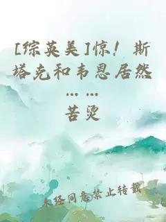 [综英美]惊！斯塔克和韦恩居然……