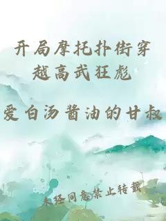 开局摩托扑街穿越高武狂彪