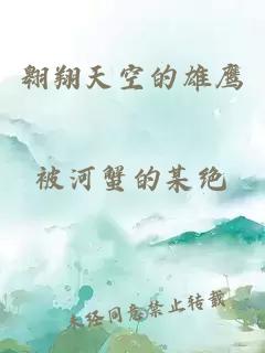 翱翔天空的雄鹰